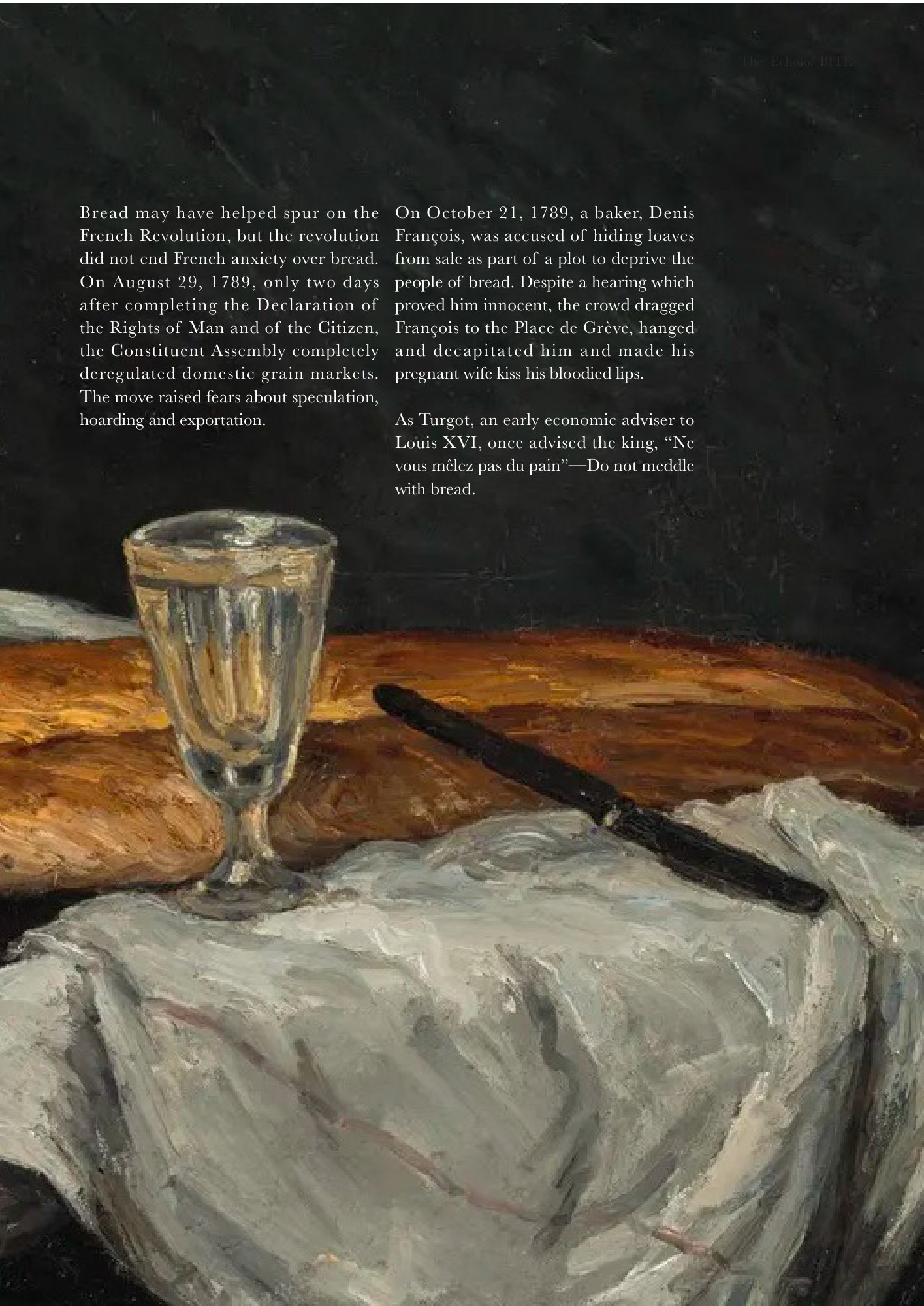 Echo of BITE Book
